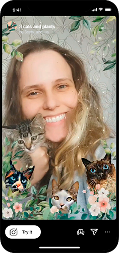 3-cats-previa-1